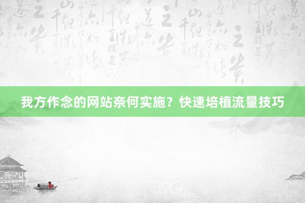 我方作念的网站奈何实施？快速培植流量技巧