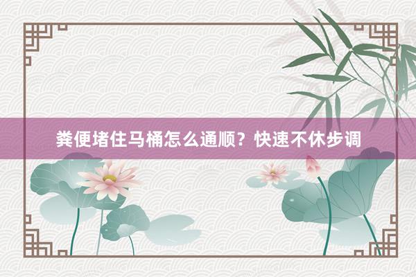 粪便堵住马桶怎么通顺？快速不休步调
