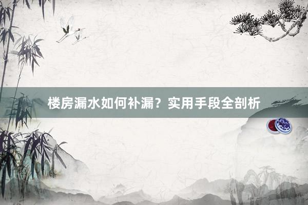 楼房漏水如何补漏？实用手段全剖析